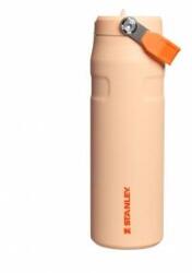 STANLEY 1913 Flip Straw 2.0 Drinking Bottle with Straw 0.7L - Thermal Mug Cools for 10 Hours - 3 Days Ice Cold - BPA Free - Leakproof - For Drink Holders - Dishwasher Safe - Orange Sherbert - 100000127824