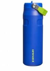 STANLEY 1913 Flip Straw Drinking Bottle with Straw 0.7L - Thermal Mug Cools for 10 Hours - Ice Cold for 3 Days - BPA Free - Leakproof - For Cup Holders - Dishwasher Safe - Cobalt Chartreuse - 100000118031
