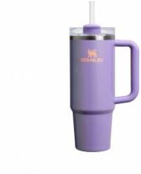 STANLEY 1913 Quencher H2.0 Flowstate Drinking Bottle with Straw 0.89L - Thermo Mug Cools for 9 Hours - 40 Hours Ice Cooled - Thermos Bottle BPA Free - Stainless Steel Drinking Cup - Periwinkle Shimmer - 10000