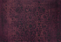 Conceptum Hypnose Carpet (210 x 310) Multicolor Dorian Chenille - Purple AL 186 mr