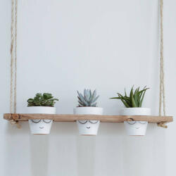  Hanah Home Wall Shelf Walnut Gar003