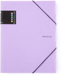 KARTON P+P PASTELINI Style cu cauciuc A4 PP violet
