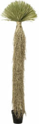 Kare Design Yucca Rostrata Műnövény Dekoráció 240 cm (KHM-55920)