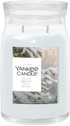 Yankee Candle Yankee Candle® Snow Kissed Pine Signature nagy üveggyertya 567 g
