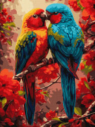 Ideyka Set pictura pe numere, cu sasiu, Pereche de papagali colorati, 30x40 cm (KHO6959)