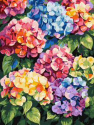Ideyka Set pictura pe numere, cu sasiu, Hortensii colorate, 30x40 cm (KHO3299)