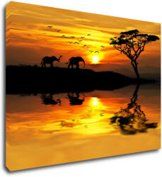 Impresi Kép Safari sunset - 70 x 50 cm