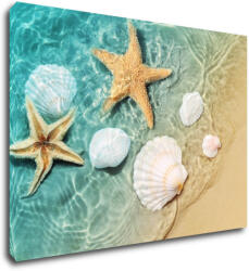 Impresi Kép Shells by the sea - 70 x 50 cm