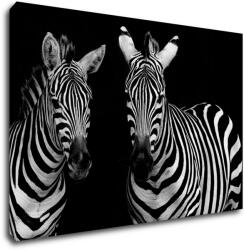 Impresi Kép Duo zebras black and white - 90 x 60 cm