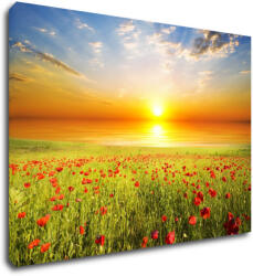 Impresi Kép Poppies field - 70 x 50 cm