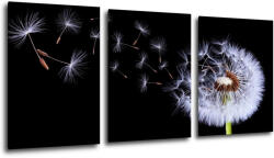Impresi Kép Dandelion black and green - 150 x 70 cm (3-részes)