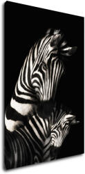 Impresi Kép Zebras black and white - 60 x 90 cm