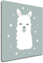 Impresi Kép Cute lama ilustration - 30 x 30 cm