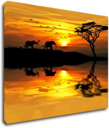 Impresi Kép Safari sunset - 90 x 70 cm