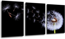 Impresi Kép Dandelion black and green - 120 x 60 cm (3-részes)