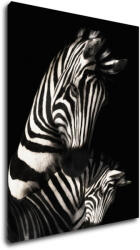 Impresi Kép Zebras black and white - 70 x 90 cm