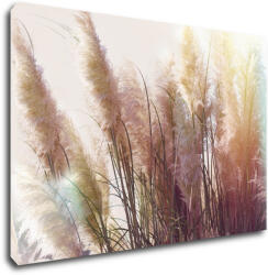 Impresi Kép Grass - 60 x 40 cm