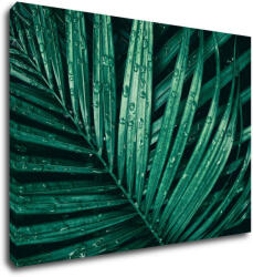 Impresi Kép Green leaf with drops of water - 70 x 50 cm