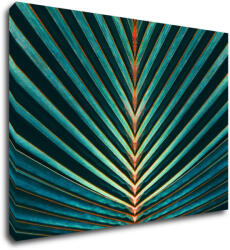 Impresi Kép Palm leaf - 70 x 50 cm