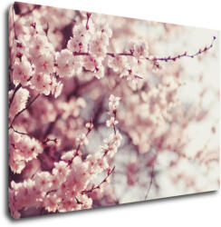 Impresi Kép Light pink blossom on the tree - 90 x 60 cm