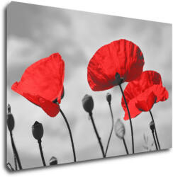 Impresi Kép Poppy - 60 x 40 cm