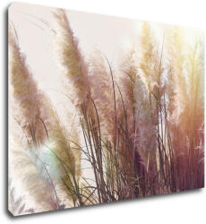Impresi Kép Grass - 70 x 50 cm