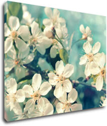 Impresi Kép Blue background cherry blossom - 90 x 70 cm