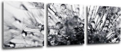 Impresi Kép Flower with little drops of water - 90 x 30 cm (3-részes)