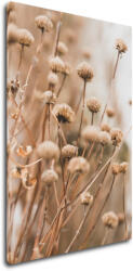 Impresi Kép Scandinavian style dry grass - 60 x 40 cm