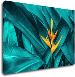 Impresi Kép Orange blossom - 60 x 40 cm