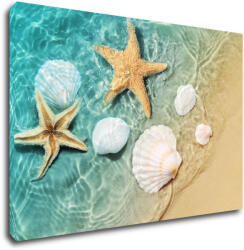 Impresi Kép Shells by the sea - 60 x 40 cm