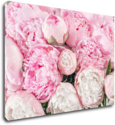 Impresi Kép Pinky flowers - 70 x 50 cm