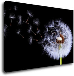 Impresi Kép Dandelion black and green - 90 x 60 cm