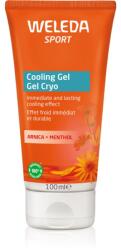 Weleda Sport gel racoritor pentru regenerare musculară 100 ml