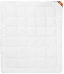 AMZ ACTIVE ANTYSTRES Antiallergén paplan, 155 x 200, Mikroszálas, Fehér (208013)