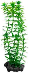 TETRA Dekoráció Tetra Növény Anacharis S 15cm