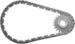 BorgWarner chit lant de distributie BorgWarner OE-Version/Genuine 59007150023 (59007150023)