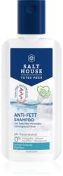 Salthouse Dead Sea Therapy Anti-grease Shampoo șampon pentru scalp gras 250 ml