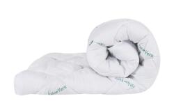 Somnart Pilota matlasata Aloe Confort Somnart, 140x200 cm, 250 g, microfibra, primavara-toamna (PIL.AV.CONFORT.140X200)