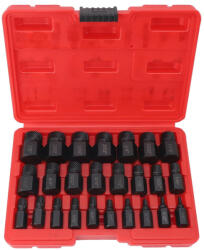 Uruisi Star Set Extractoare pentru Șuruburi 25buc fl-125177 (fl-125177)