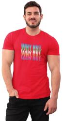 D&B Férfi/Unisex Póló ST00175 Why Not Piros-Méret XL (ST00175WhyNotRedXL)