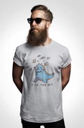 D&B Férfi/Unisex Póló ST00143 Fck This Sht Szürke-Méret XL (ST00143FckThisShtGrayXL)
