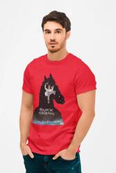 D&B Férfi/Unisex Póló MO00010 BoJackHorseman Piros-Méret XL (MO00010BoJackHorsemanRed-SizeX)
