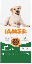 Iams 2x12kg IAMS Advanced Nutrition Adult Large Dog bárány száraz kutyatáp