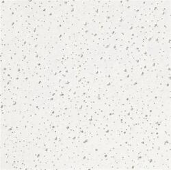 Lambda systeme álmennyezeti lap amf planet 60x60 cm / 13 mm