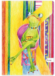 APERTA Caiet A5, 48 file, dictando, APERTA Povesti Bonjour Madame Frog