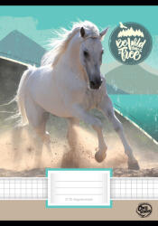 OPTISCHOOL Füzet Tűzött A/5 27-32 Négyzetrácsos Horse (27I2732016)