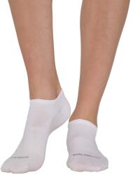 BRUBECK COMFORT WOOL Uniszex ezüstionos merinó gyapjú bokazokni - Krém