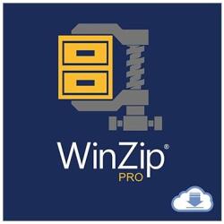 Corel WinZip 29 Pro Licență Permanentă SafeShare + PDF Express + Image Manager Windows (LCWZ29PROML1)