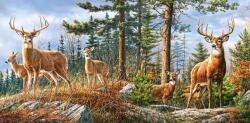 Castorland - Puzzle Royal Deer Family - 4 000 piese